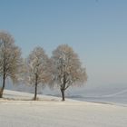 Winterlandschaft