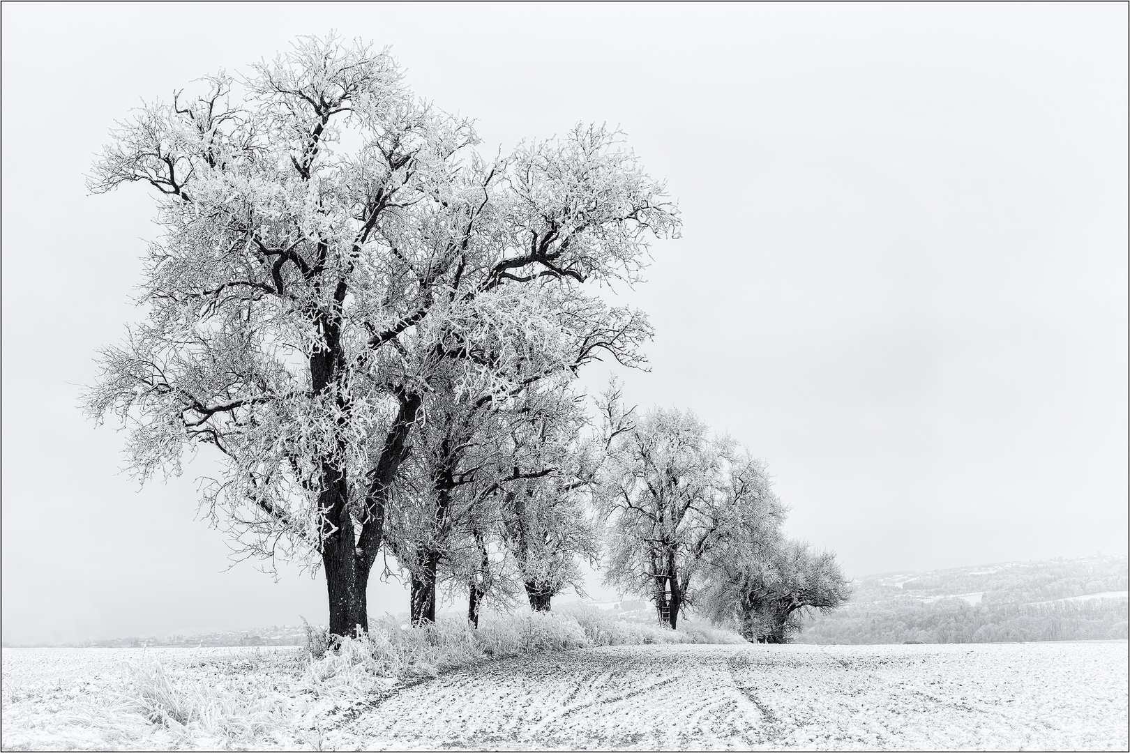 Winterlandschaft