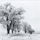 Winterlandschaft