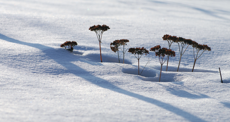 Winterlandschaft