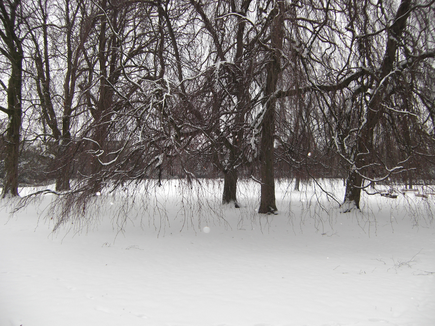 winterlandschaft