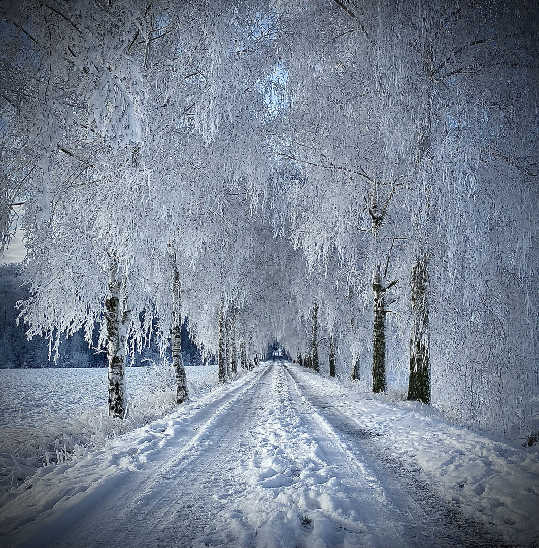 Winterlandschaft 