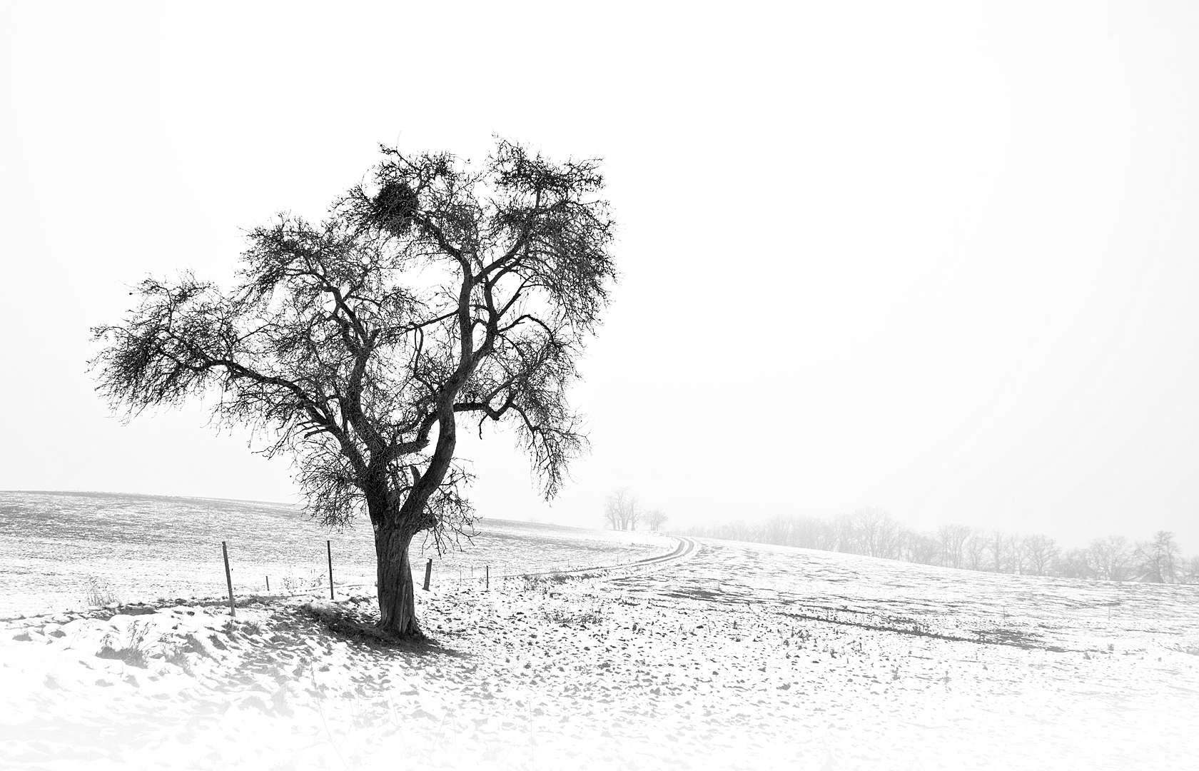 Winterlandschaft