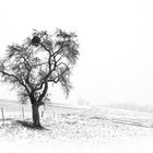 Winterlandschaft