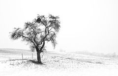 Winterlandschaft