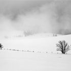 Winterlandschaft