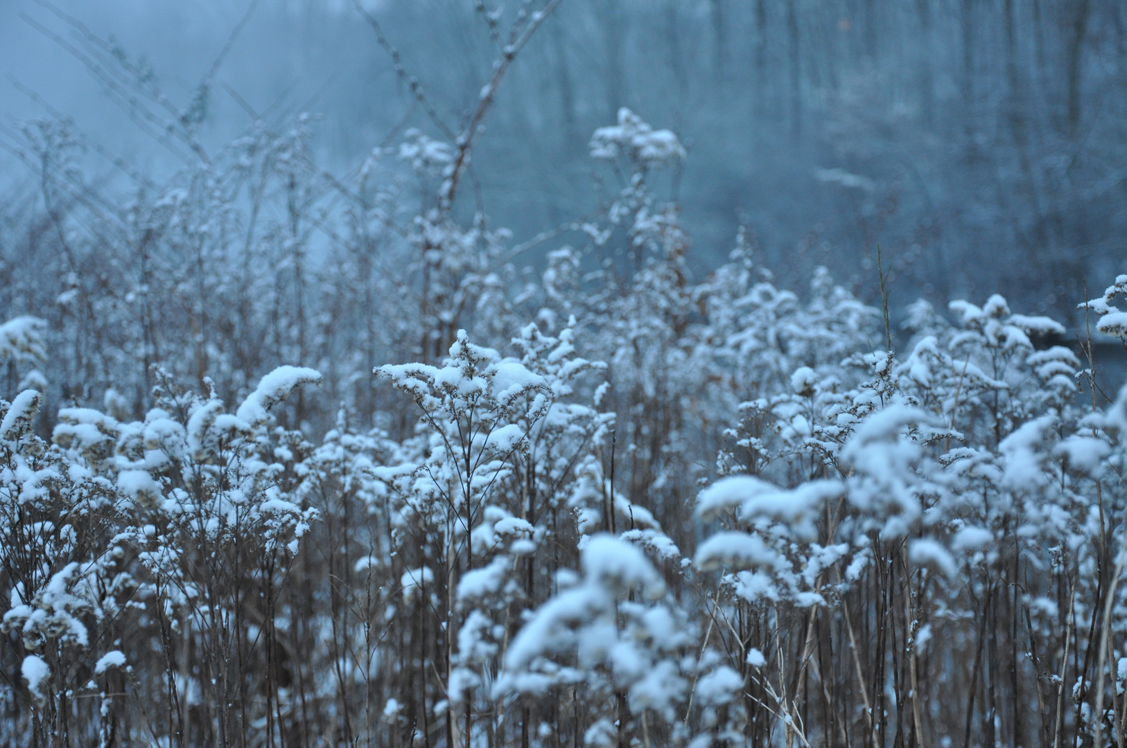 Winterlandschaft