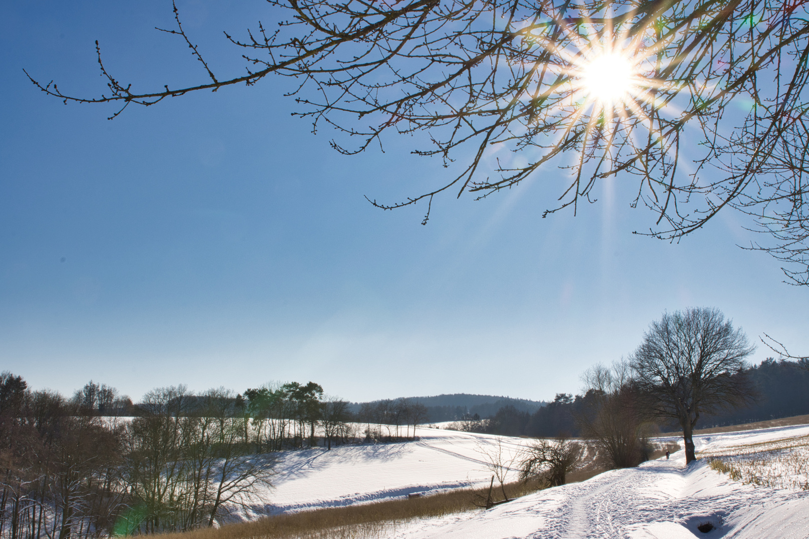 Winterlandschaft