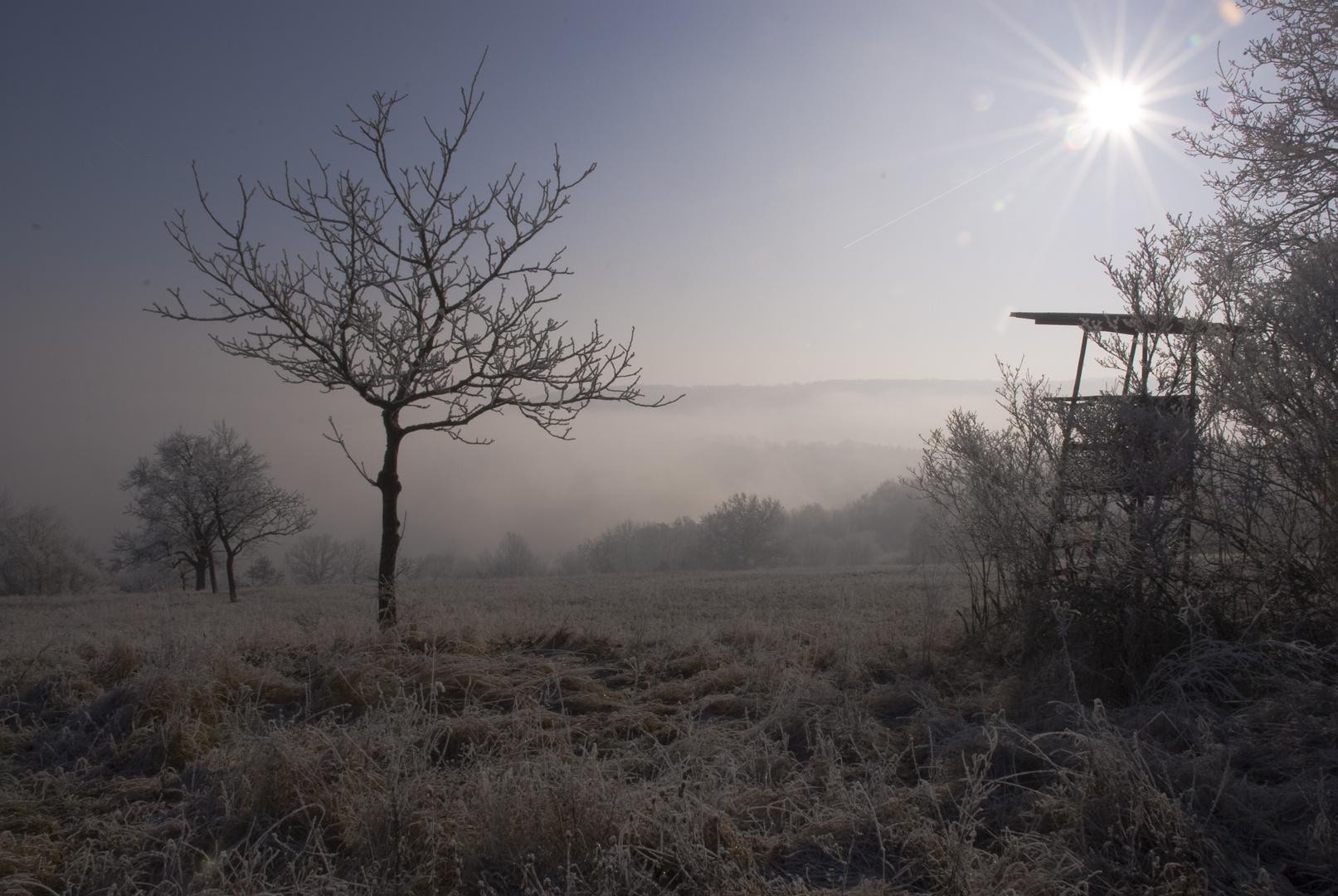 Winterlandschaft