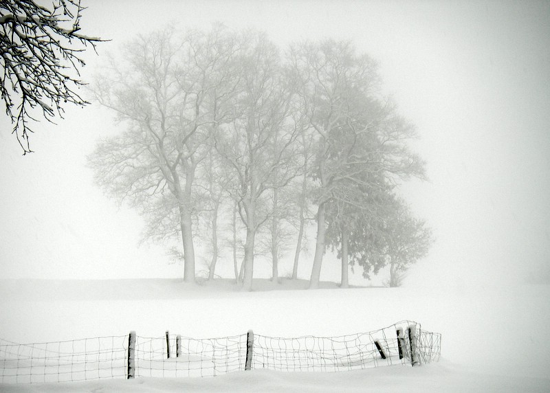 Winterlandschaft