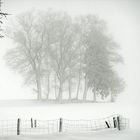 Winterlandschaft