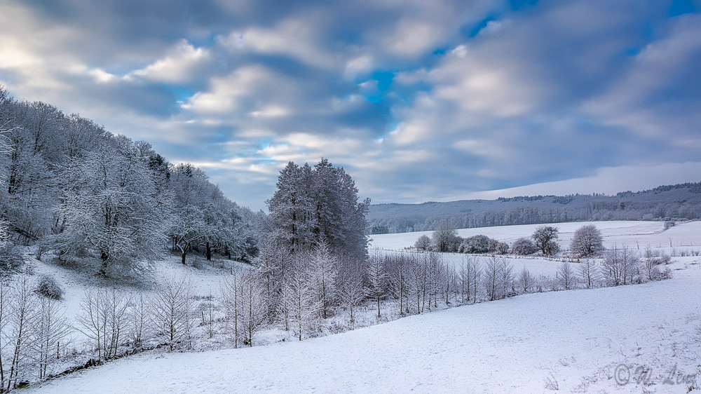 Winterlandschaft