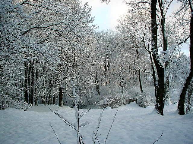 Winterlandschaft