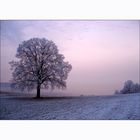 "Winterlandschaft"