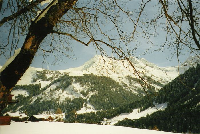 Winterlandschaft