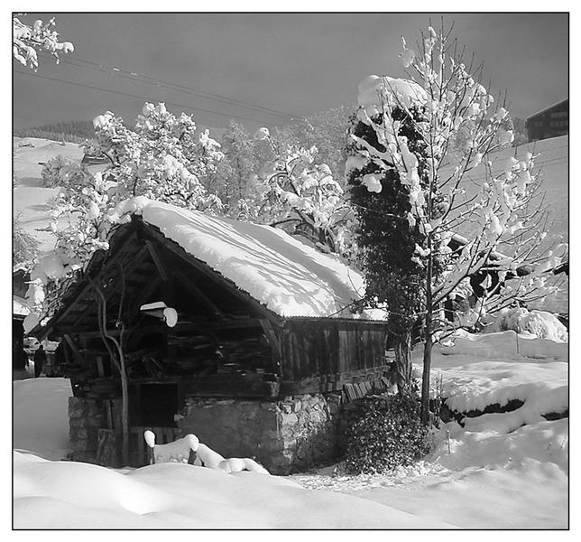 Winterlandschaft