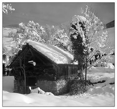 Winterlandschaft