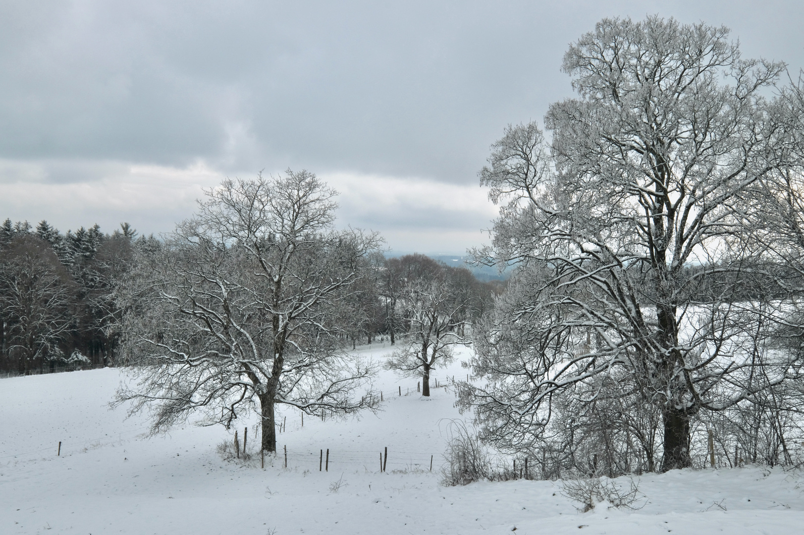 Winterlandschaft