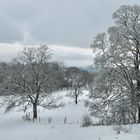 Winterlandschaft