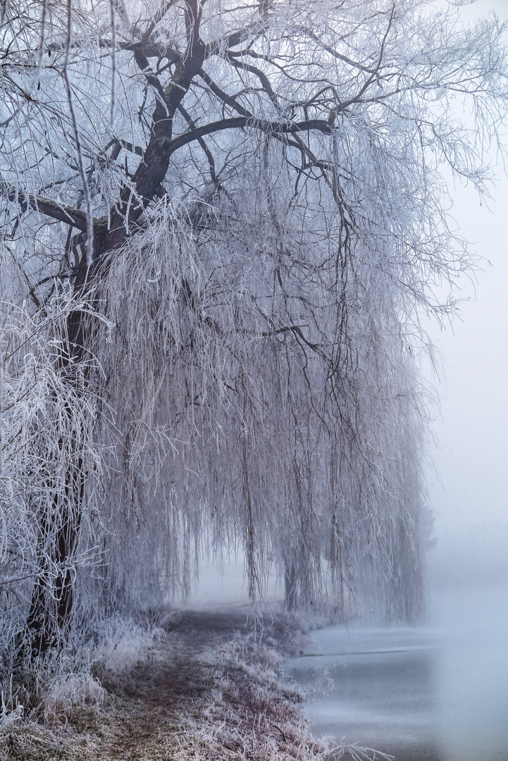 Winterlandschaft