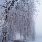 Winterlandschaft