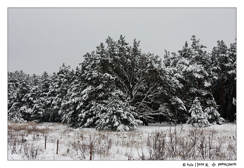 Winterlandschaft