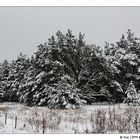 Winterlandschaft