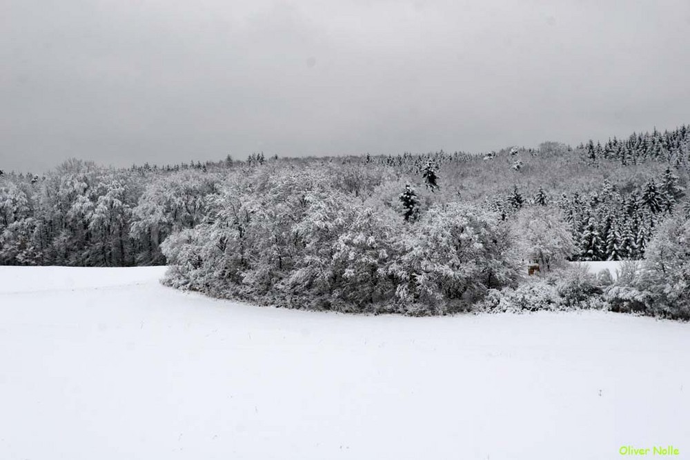 Winterlandschaft