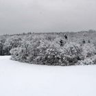 Winterlandschaft