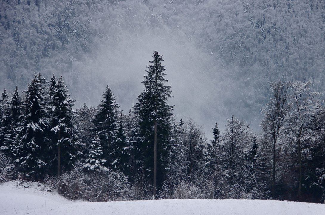 Winterlandschaft