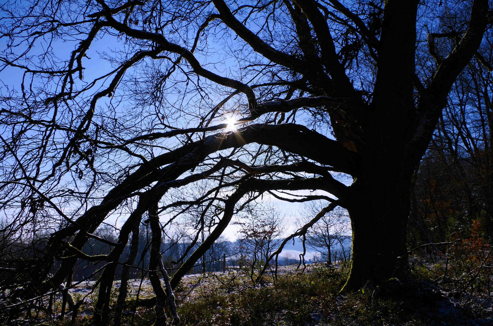 Winterlandschaft