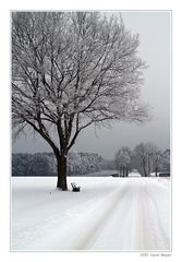 Winterlandschaft