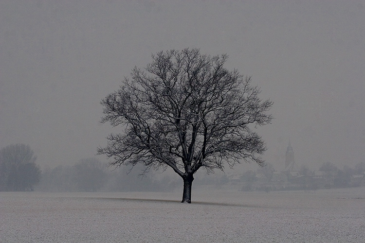 Winterlandschaft...