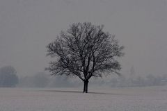 Winterlandschaft...