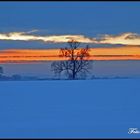 Winterlandschaft