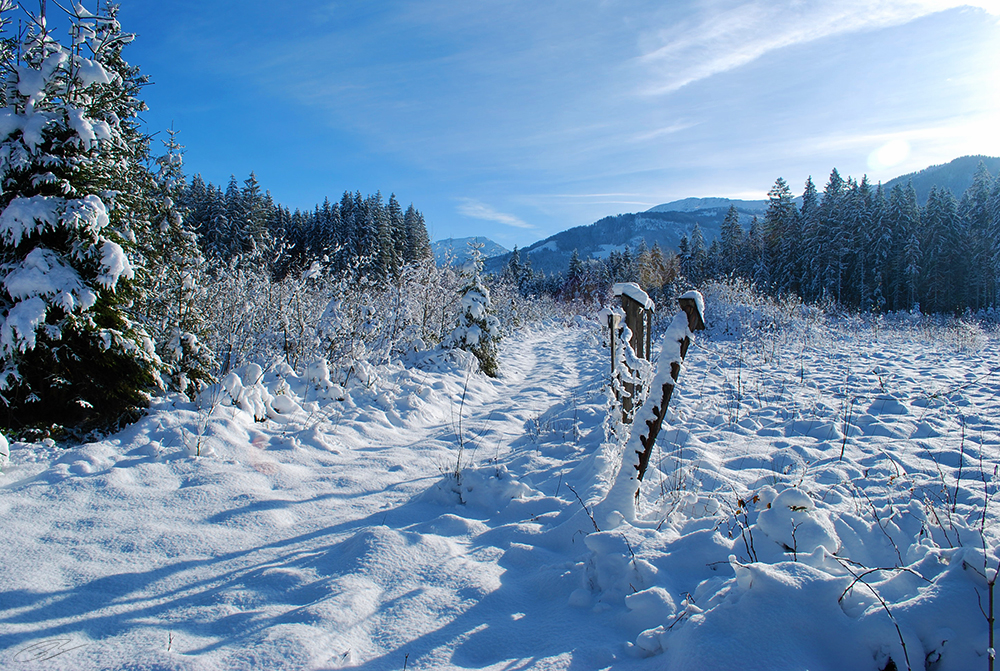 Winterlandschaft