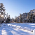 WINTERLANDSCHAFT