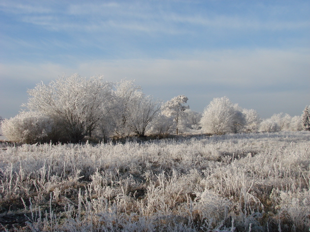 Winterlandschaft