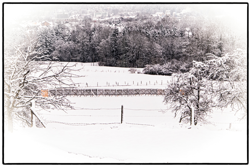 Winterlandschaft