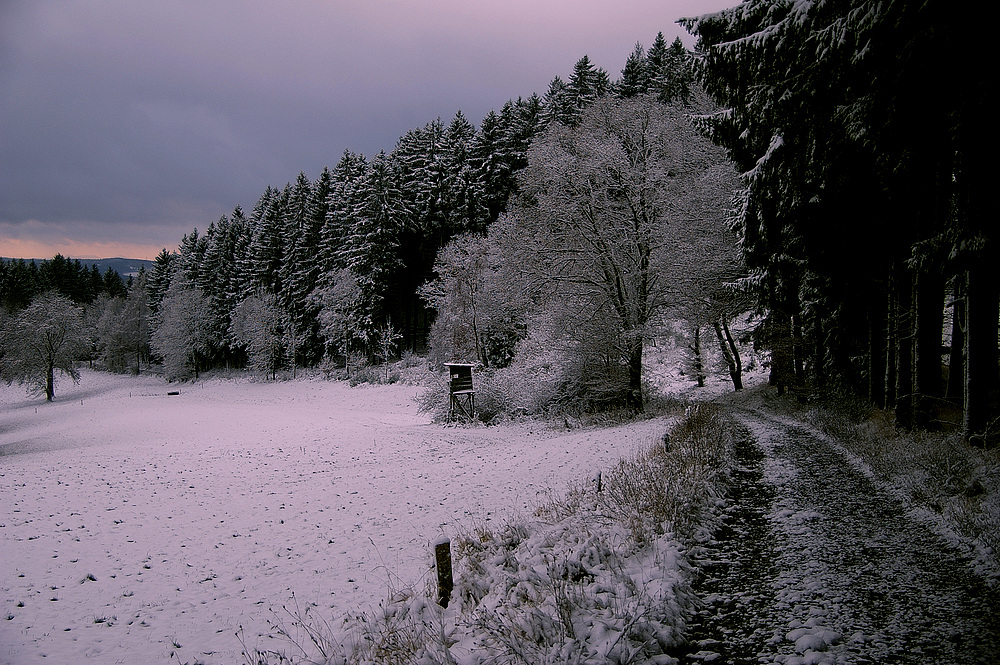 Winterlandschaft