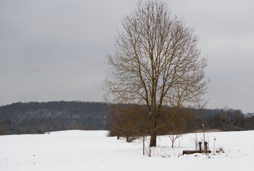 Winterlandschaft