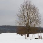 Winterlandschaft