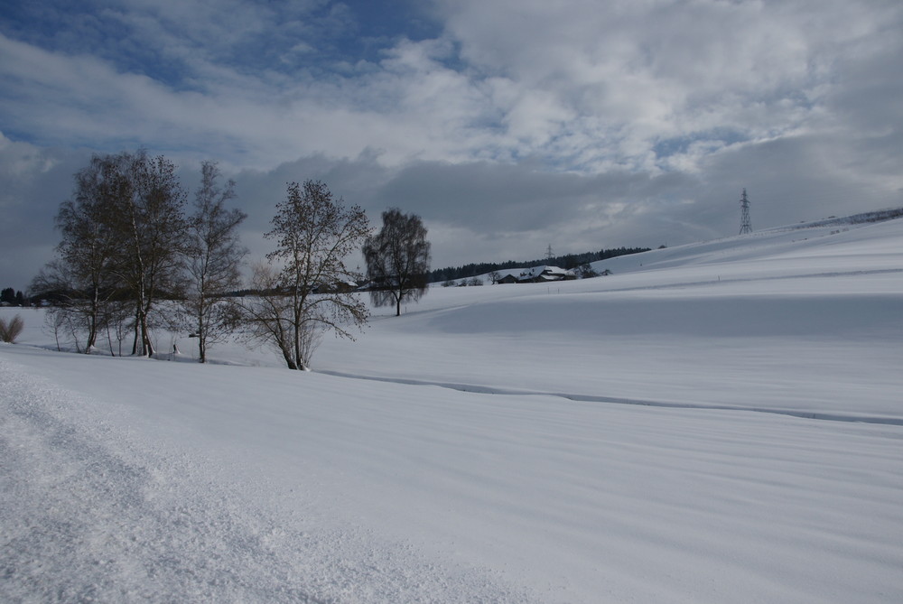 Winterlandschaft