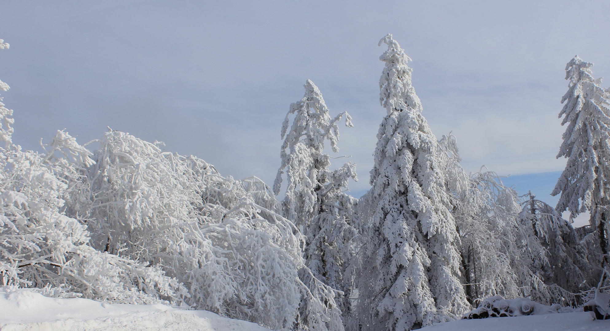 Winterlandschaft