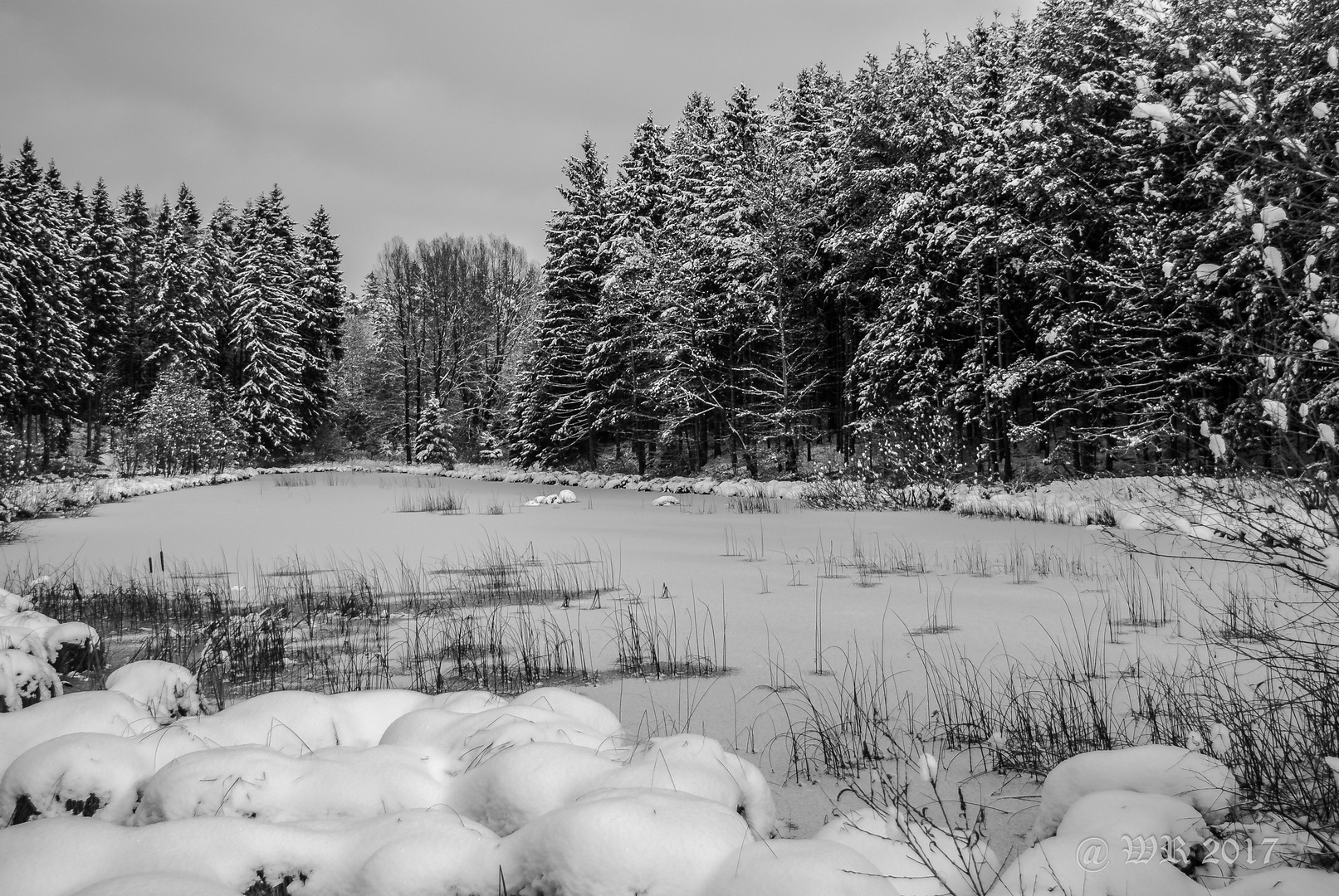 Winterlandschaft