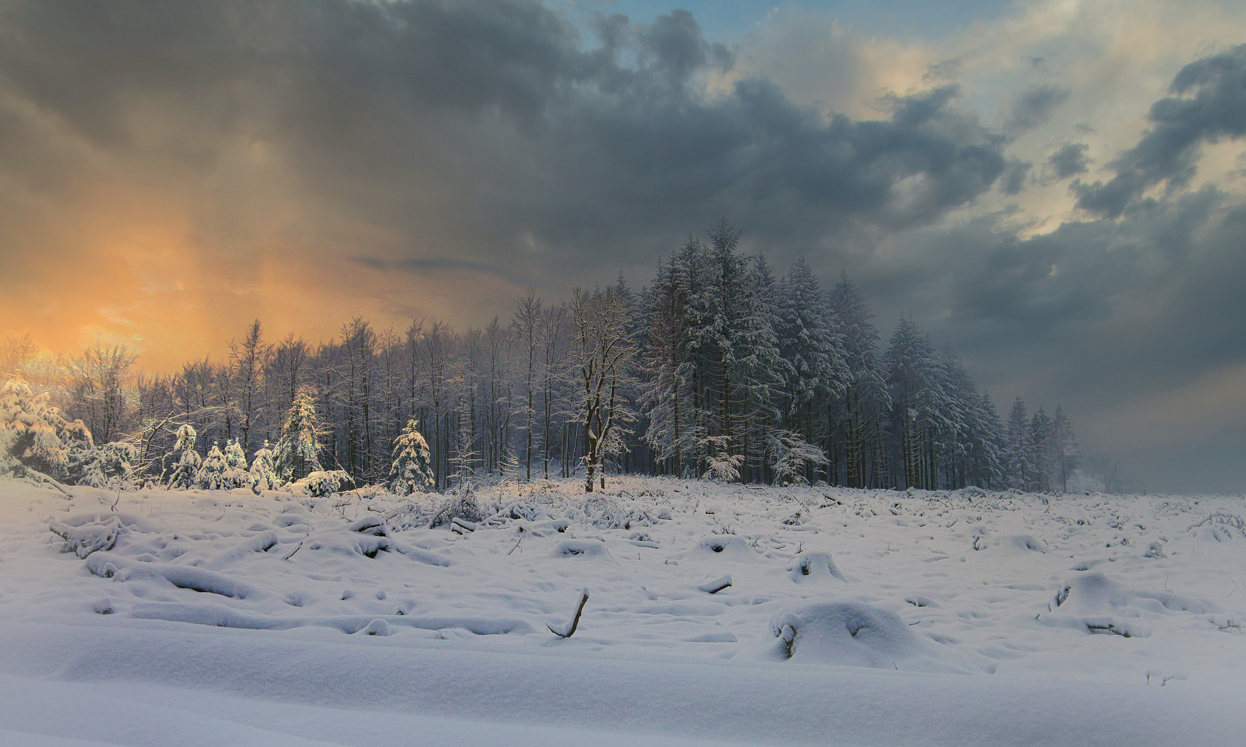 Winterlandschaft