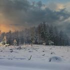 Winterlandschaft