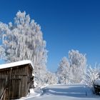 Winterlandschaft