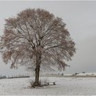 Winterlandschaft