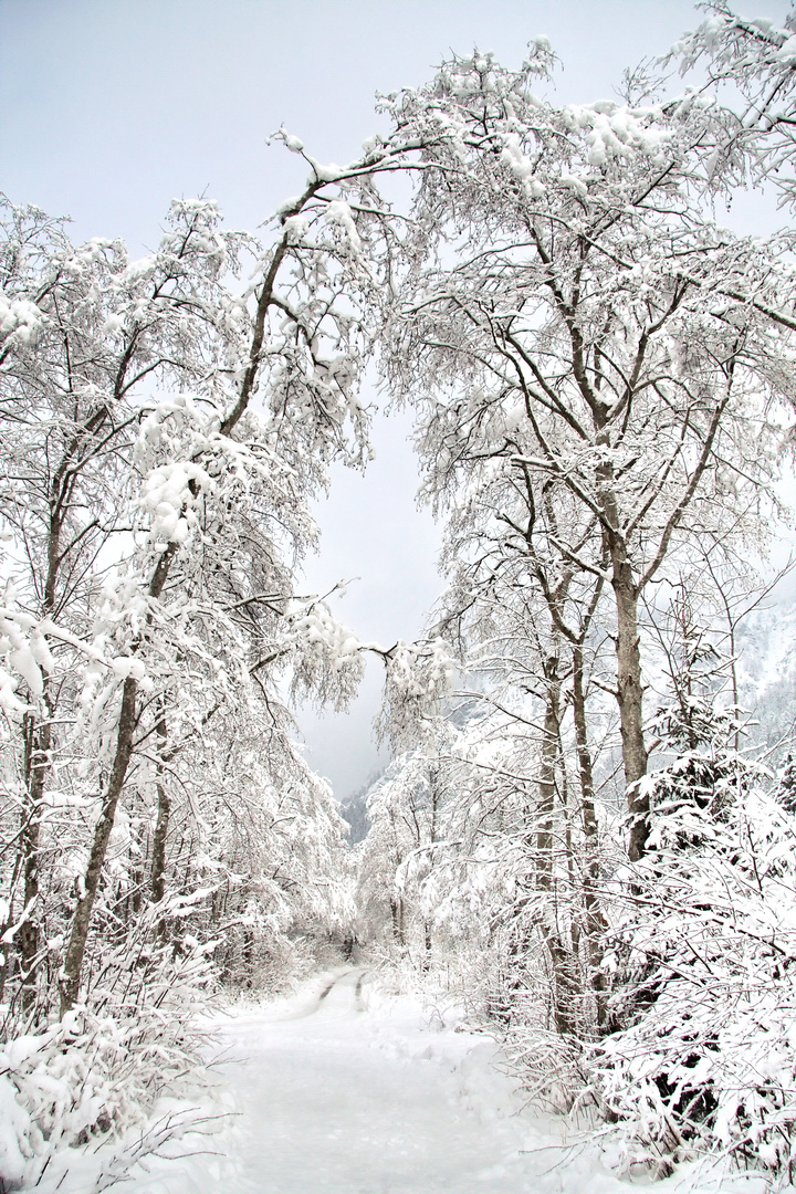 Winterlandschaft